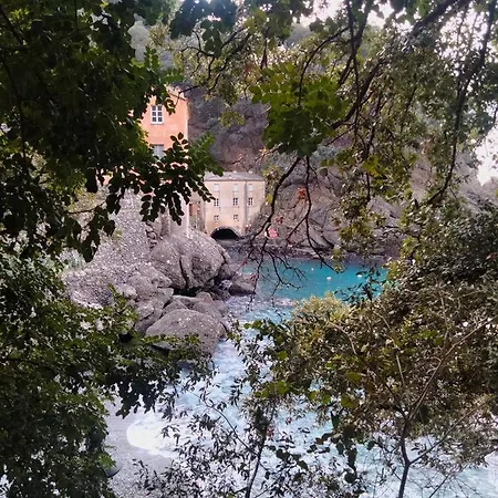 Casa Dell'Arco Civico 35 Villa San Fruttuoso Exterior photo