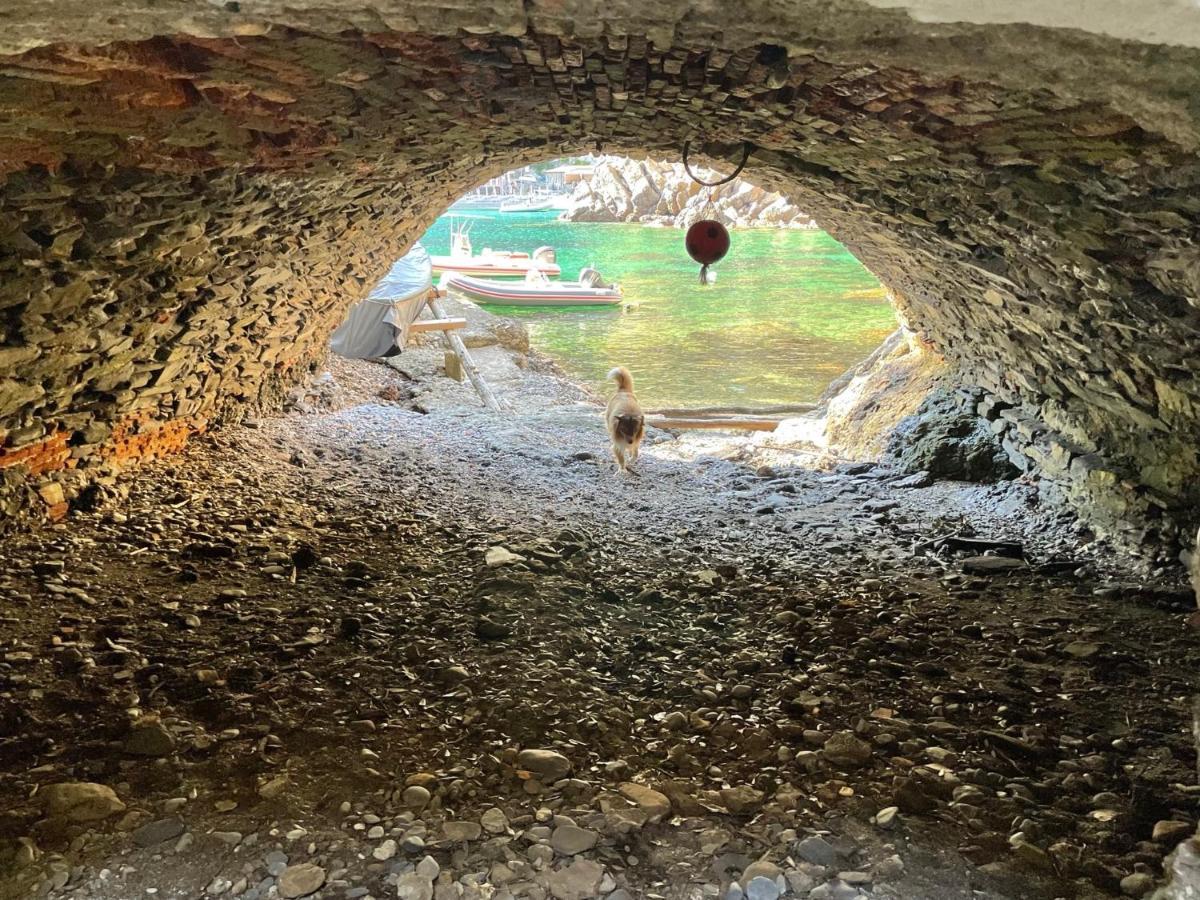 Casa Dell'arco Civico 35 San Fruttuoso