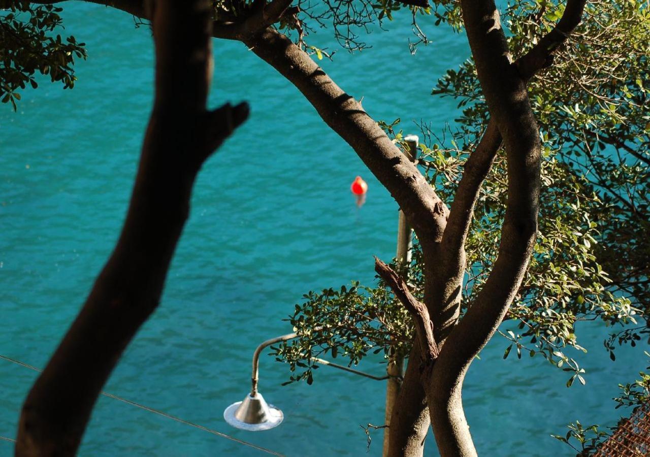 Casa Dell'arco Civico 35 San Fruttuoso